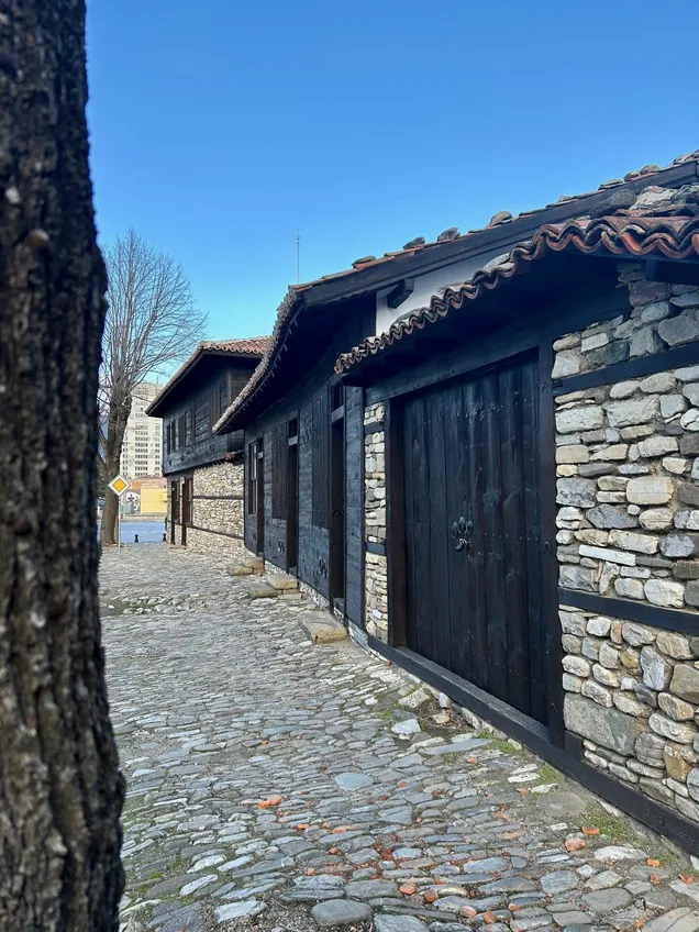 Hadzhi Dimitar House Museum